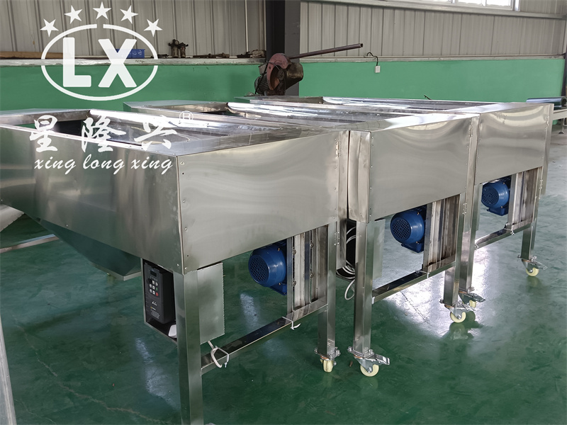 香菇篩選機(jī)